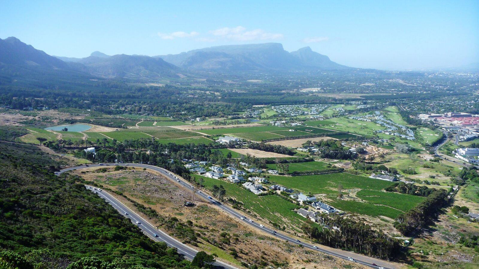 Wijngaarden in de Constantia-vallei met de bergen van het Tafelberg-massief erachter