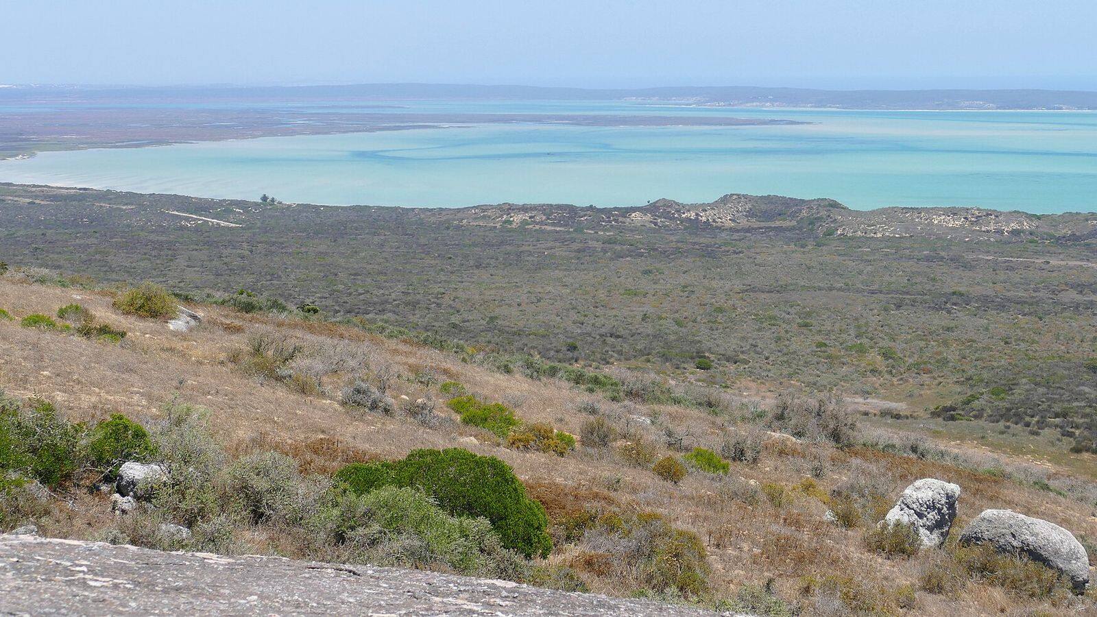 Het turquoise water van de Langebaan-lagune in West Coast National Park