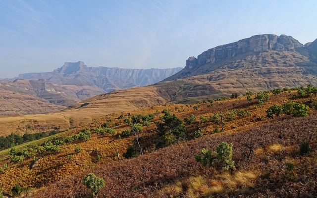 De rotswand van het Amphitheatre in de Drakensberg bij helder weer