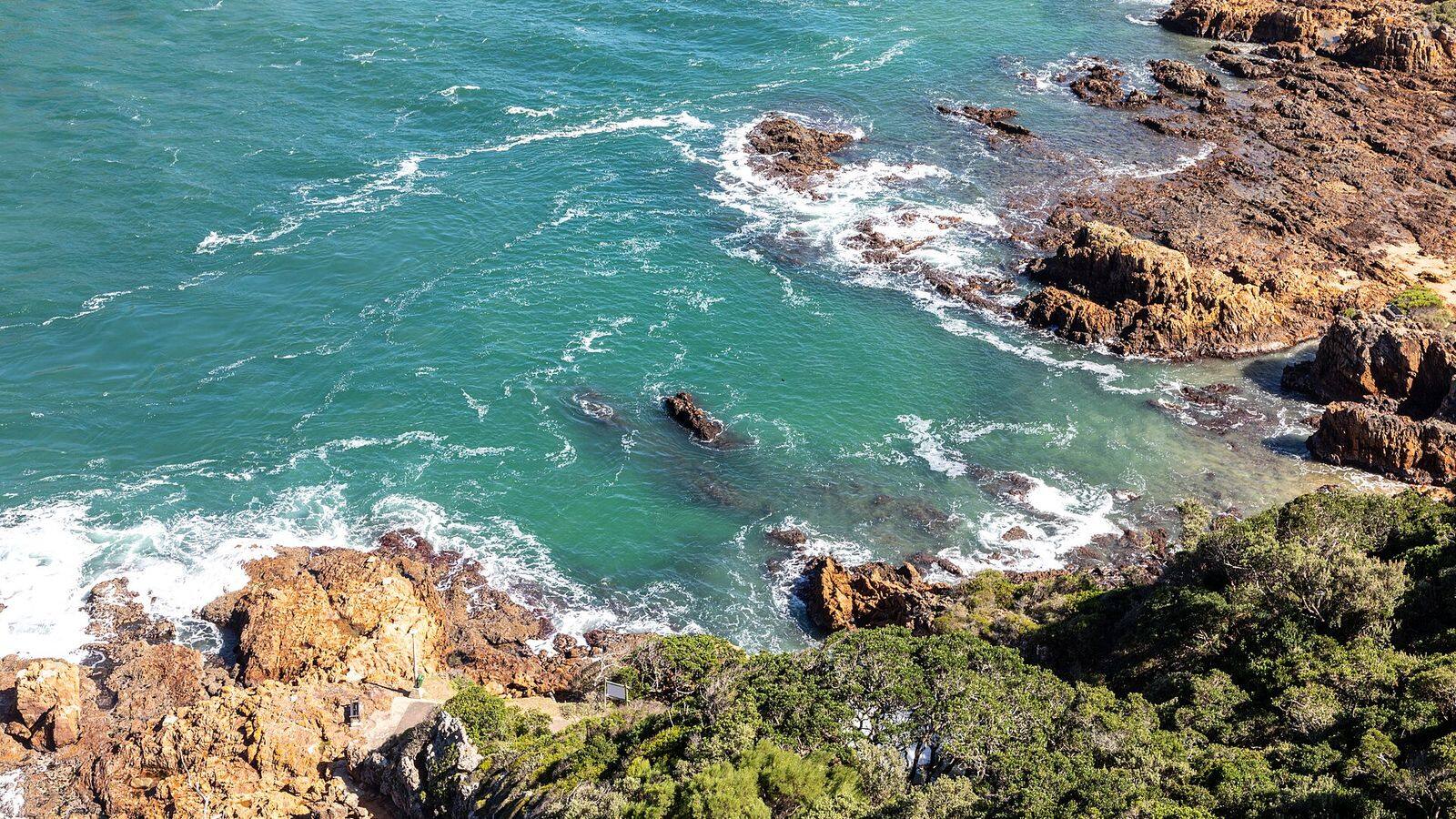 De groene kustlijn van de Garden Route met kliffen, bos en de Indische Oceaan