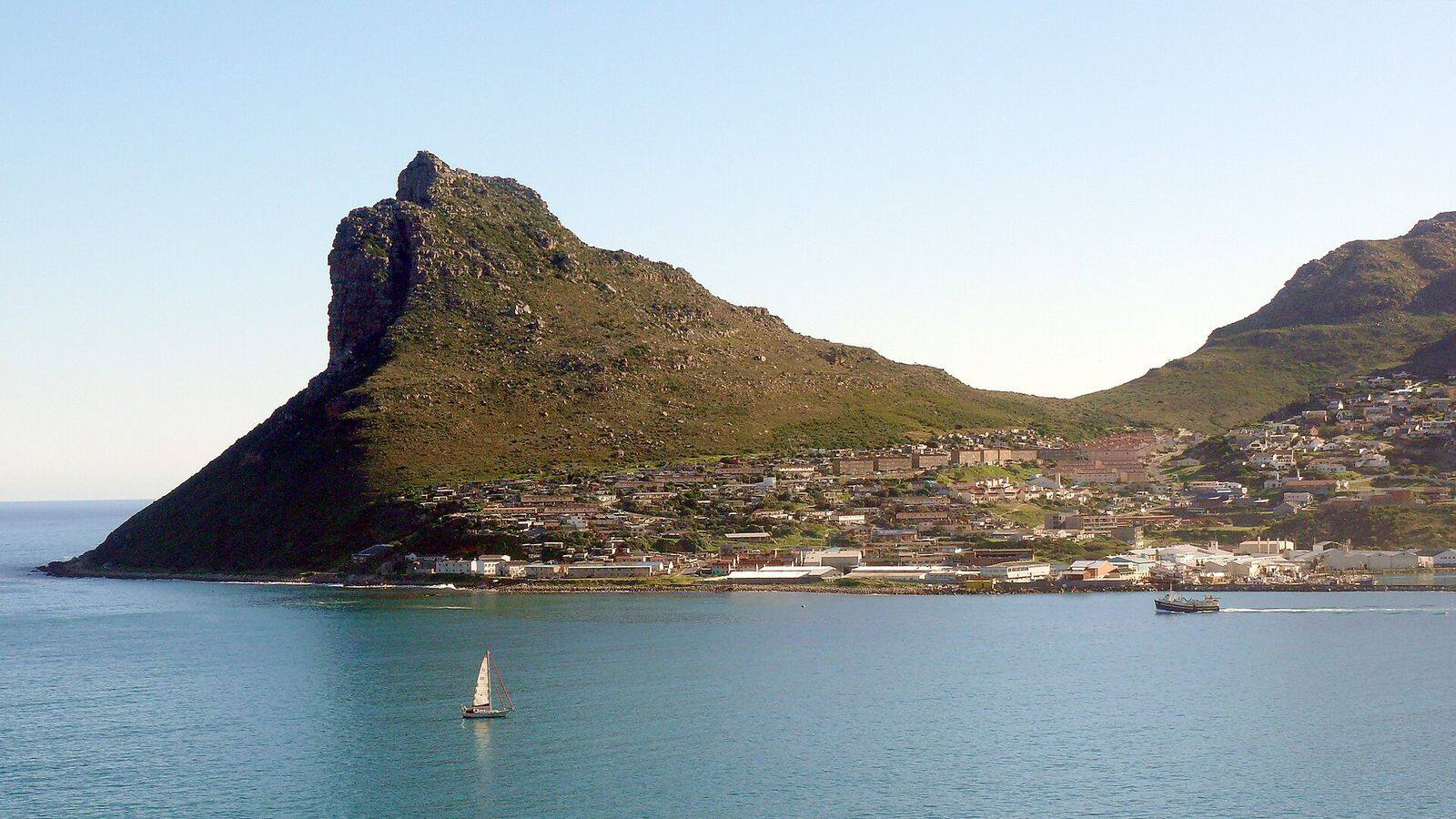 De haven van Hout Bay met vissersboten en de rotsachtige Sentinel op de achtergrond