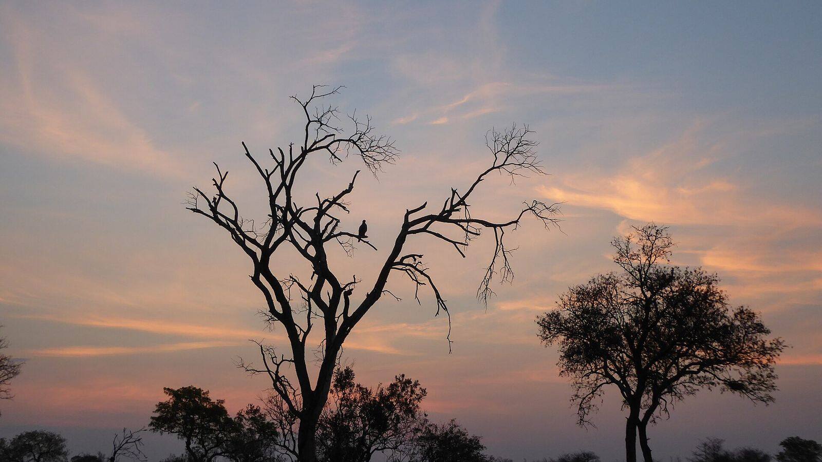 Terras van een safarilodge met uitzicht over de bush bij zonsondergang
