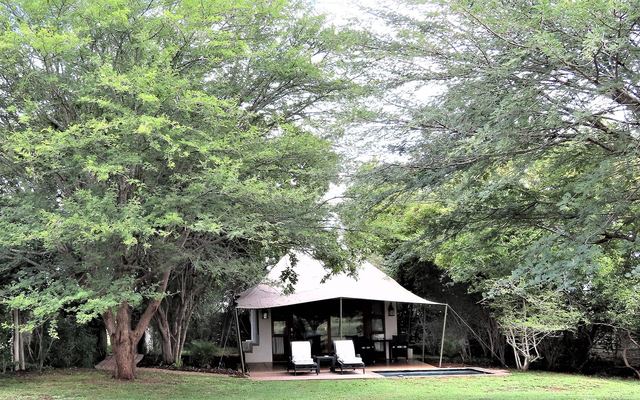 Luxe safarisuite met eigen plunge pool en uitzicht over de bush