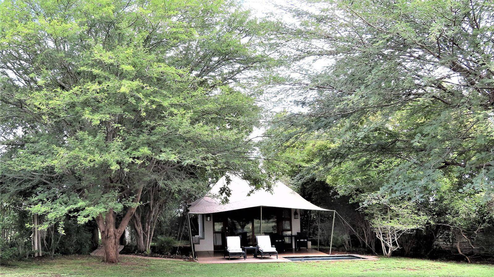 Luxe safarisuite met eigen plunge pool en uitzicht over de bush