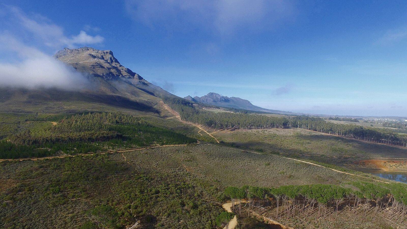 Wijngaarden bij Stellenbosch met de bergen van de Kaapse wijnlanden op de achtergrond