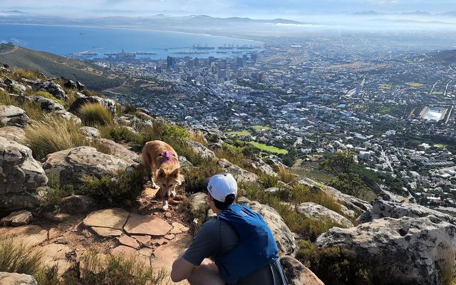 Groep wandelaars op het pad naar de top van Lion's Head met uitzicht over Kaapstad